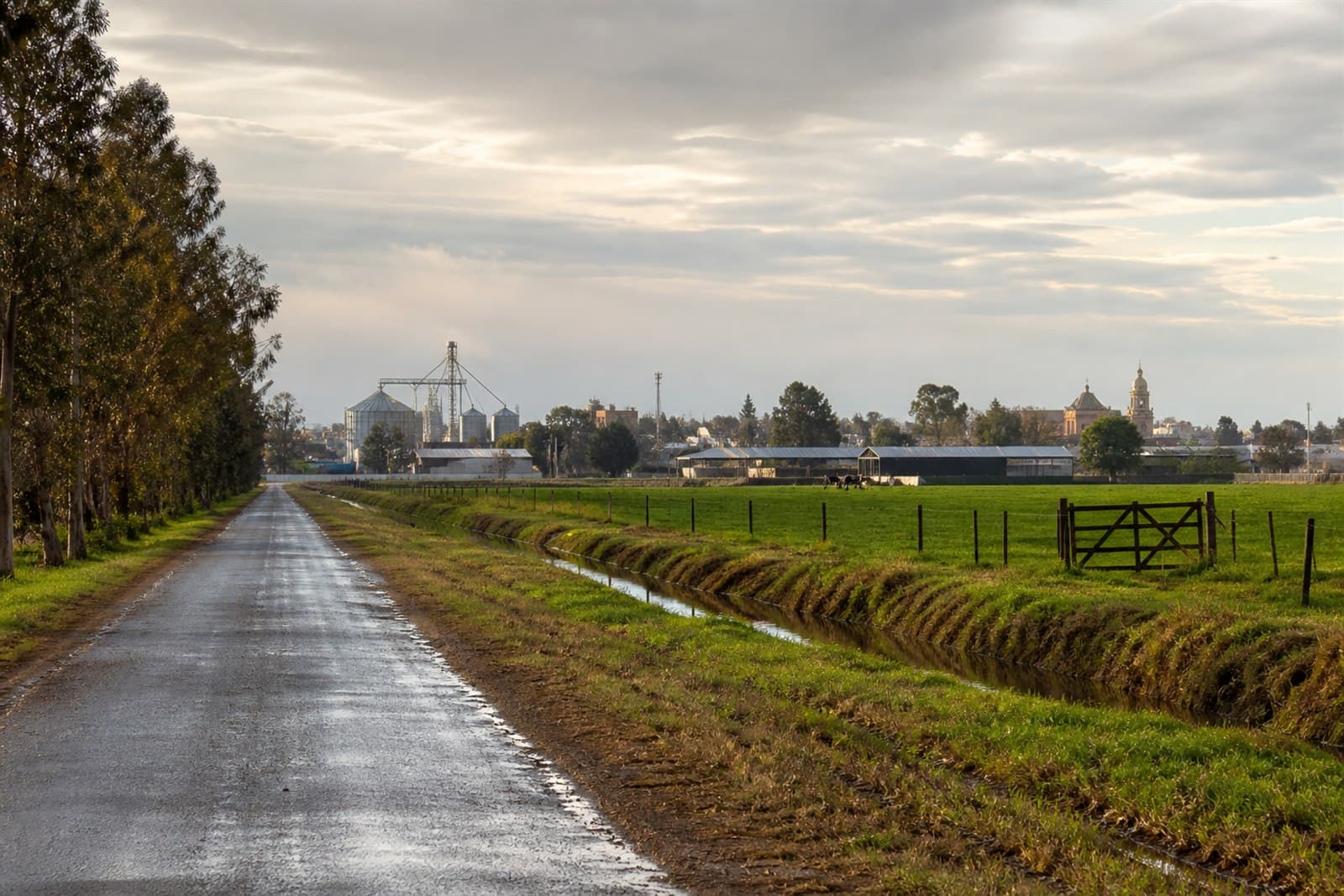 Camino rural, campos productivos y una localidad de la provincia de Santa Fe