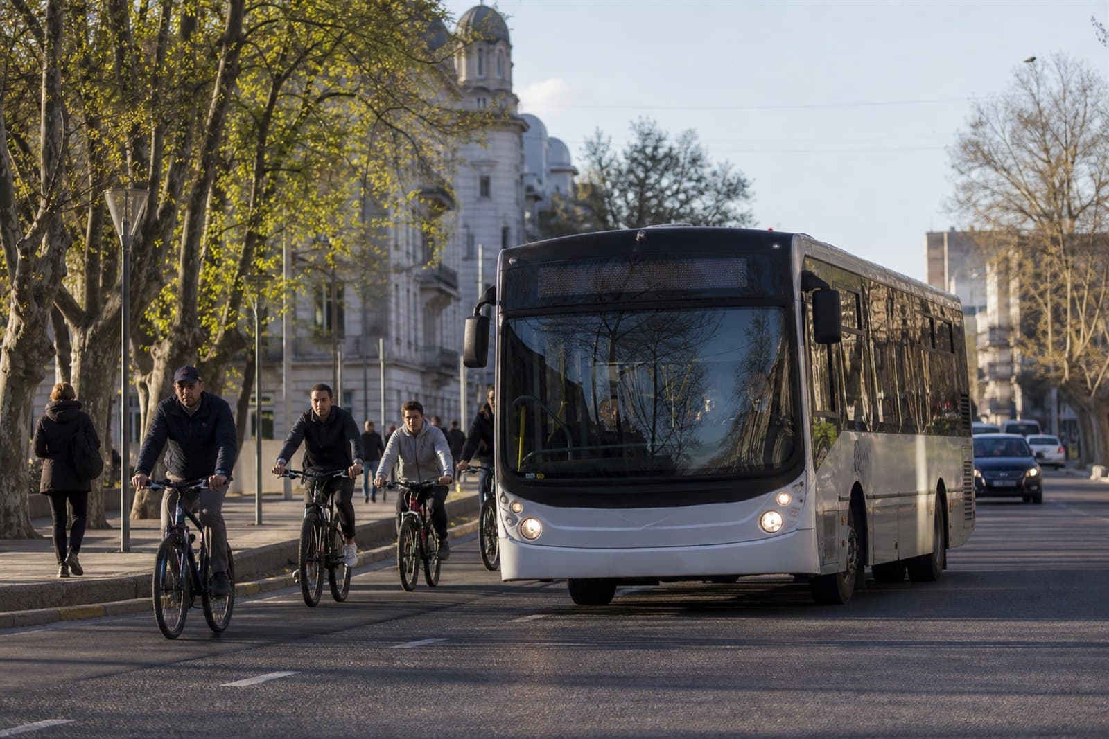 Colectivo y ciclistas circulan por una avenida arbolada de Santa Fe